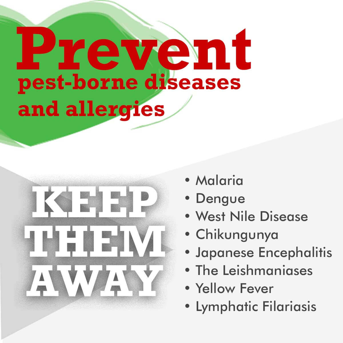 Insect Repellent Interior